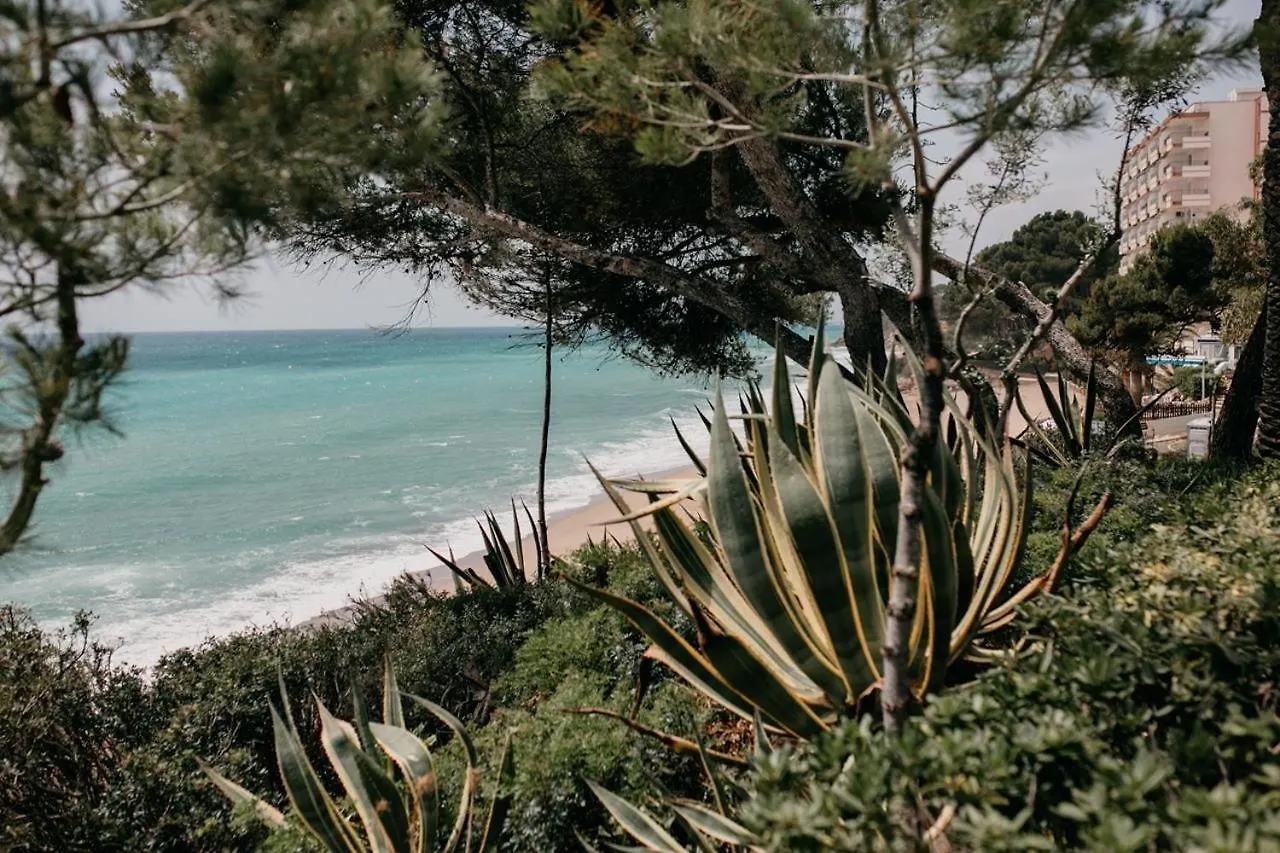 Casa Agata Apartment Miami Playa Spain